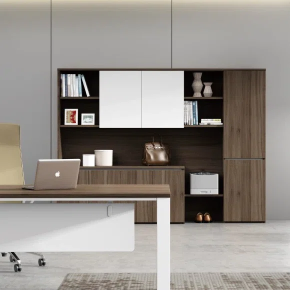 Ofis Dolabı